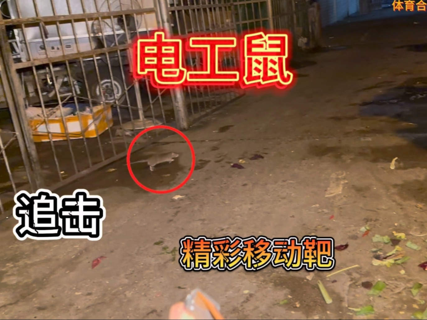 城中村害鼠泛滥，居民苦不堪言，山猫雷霆出击，害鼠疯狂逃窜！