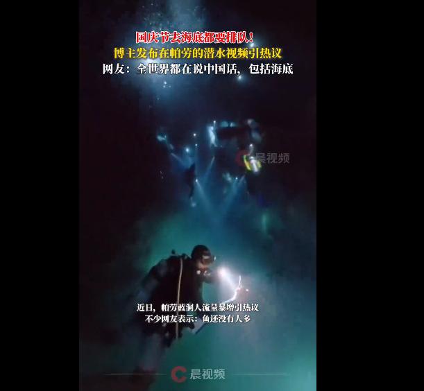 中国游客在帕劳潜水像下饺子，网友：全世界都在说中国话，包括海底