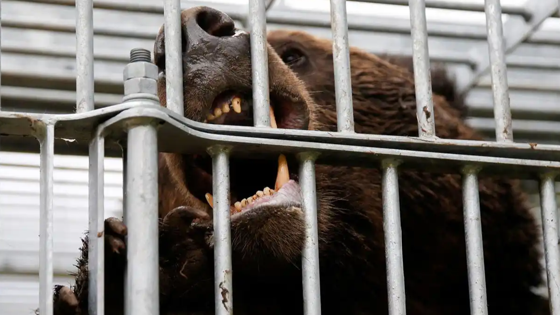 美国等多国使领馆发布赴日旅行警告