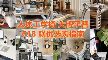 大牌平替 618联优高品质人体工学椅 选购指南