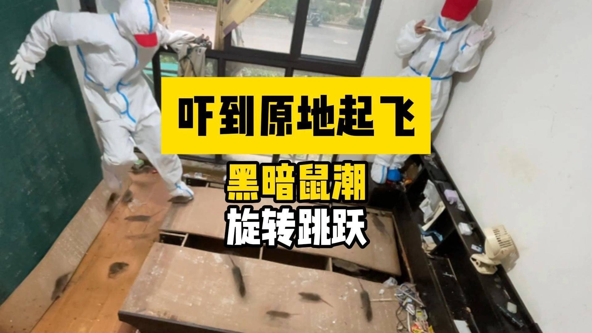 没什么能吓到身经百战的我们，鼠鼠窜天猴：你确定？