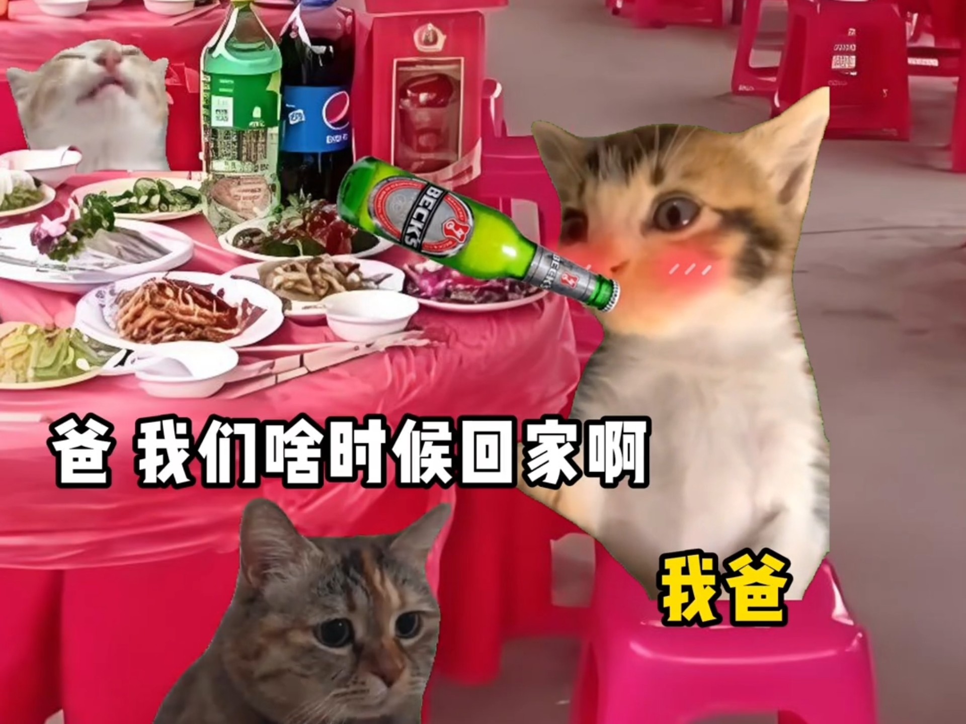 小时候陪我爸去吃席
