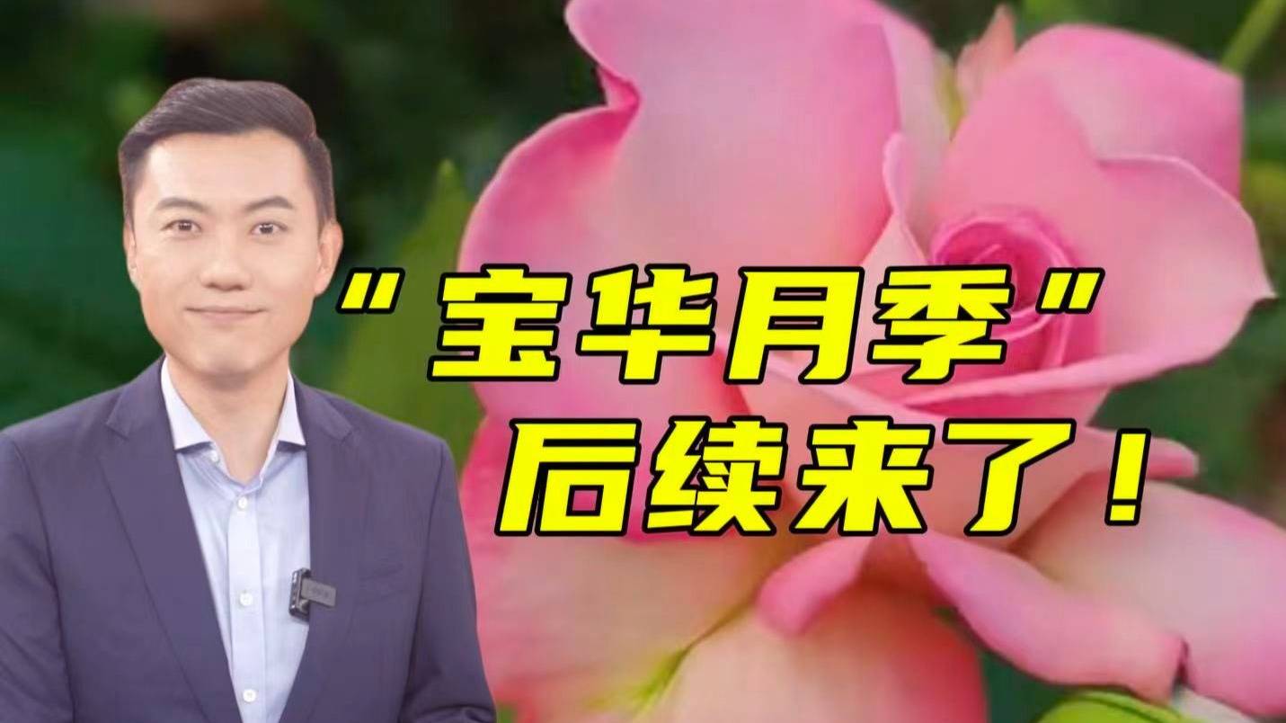 以网友二舅命名“宝华月季”初审通过！后续竟然更暖心！【主播说三农】