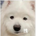 分享一下我是如何每次都越学越爽的