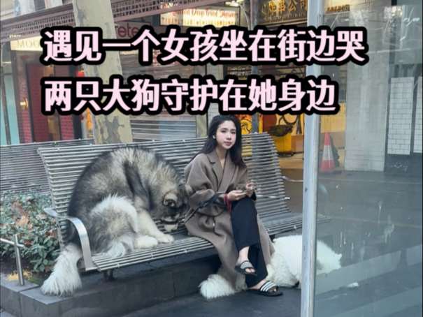 原来她刚分手 可是她有两只视她为全世界的大宝宝诶