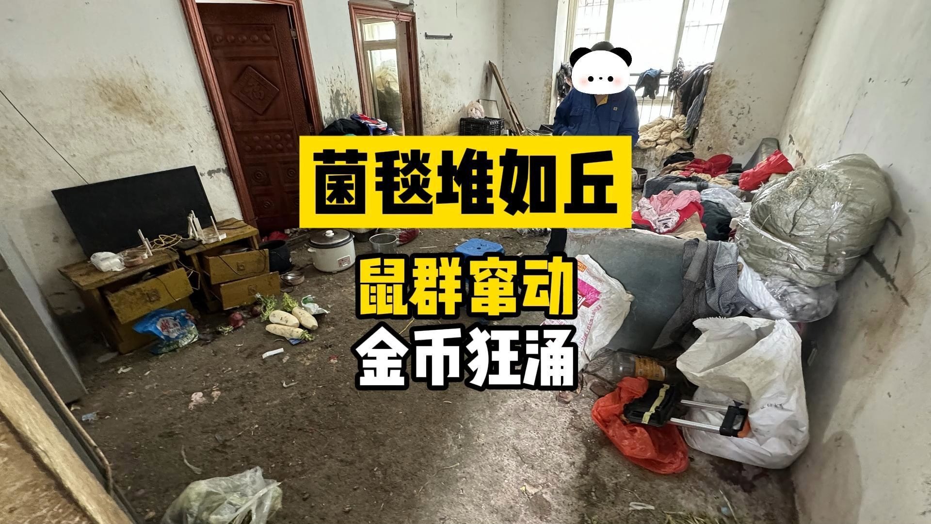 鼠鼠大乱斗，铲如疾风，势如闪电
