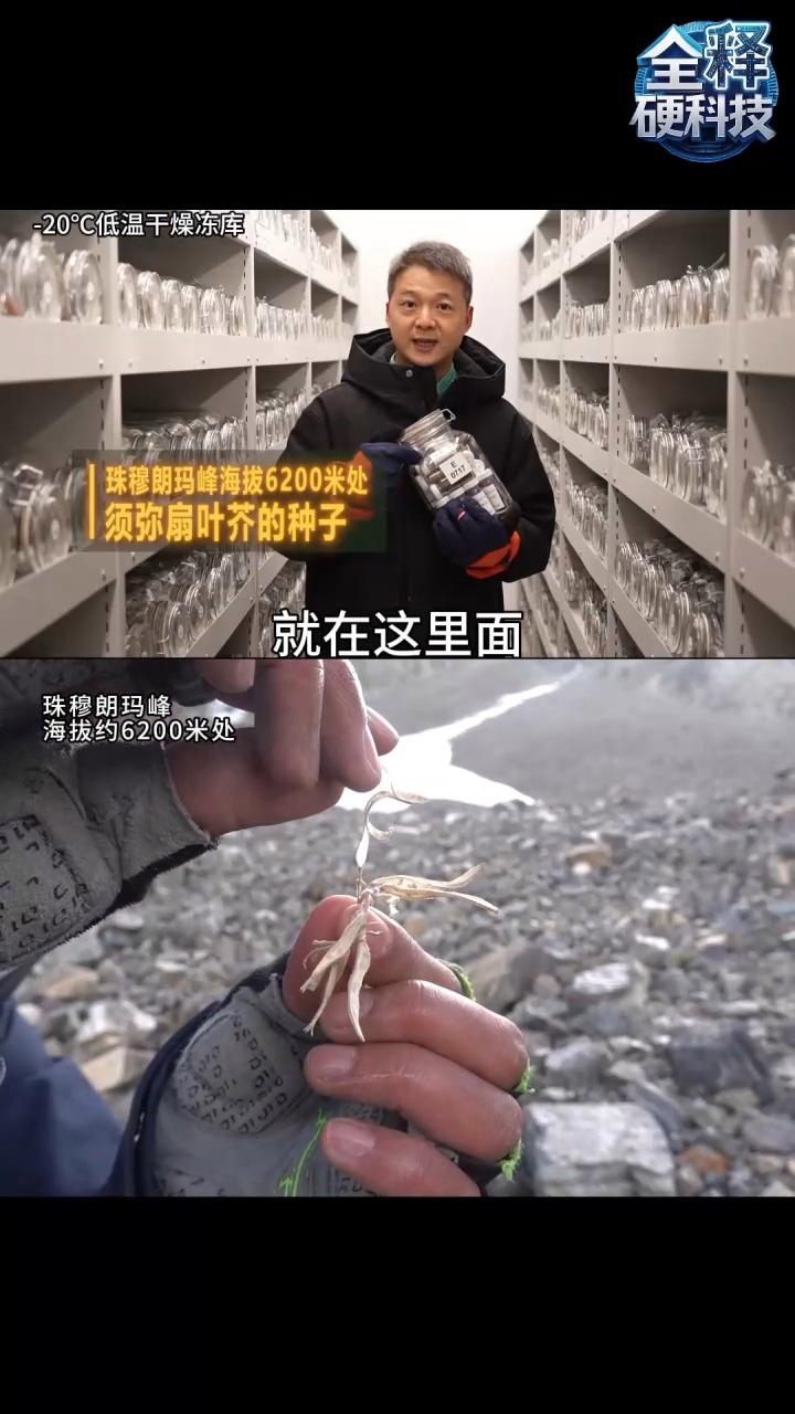 全释硬科技丨亚洲最大 中国科学家打造现实版“诺亚方舟”