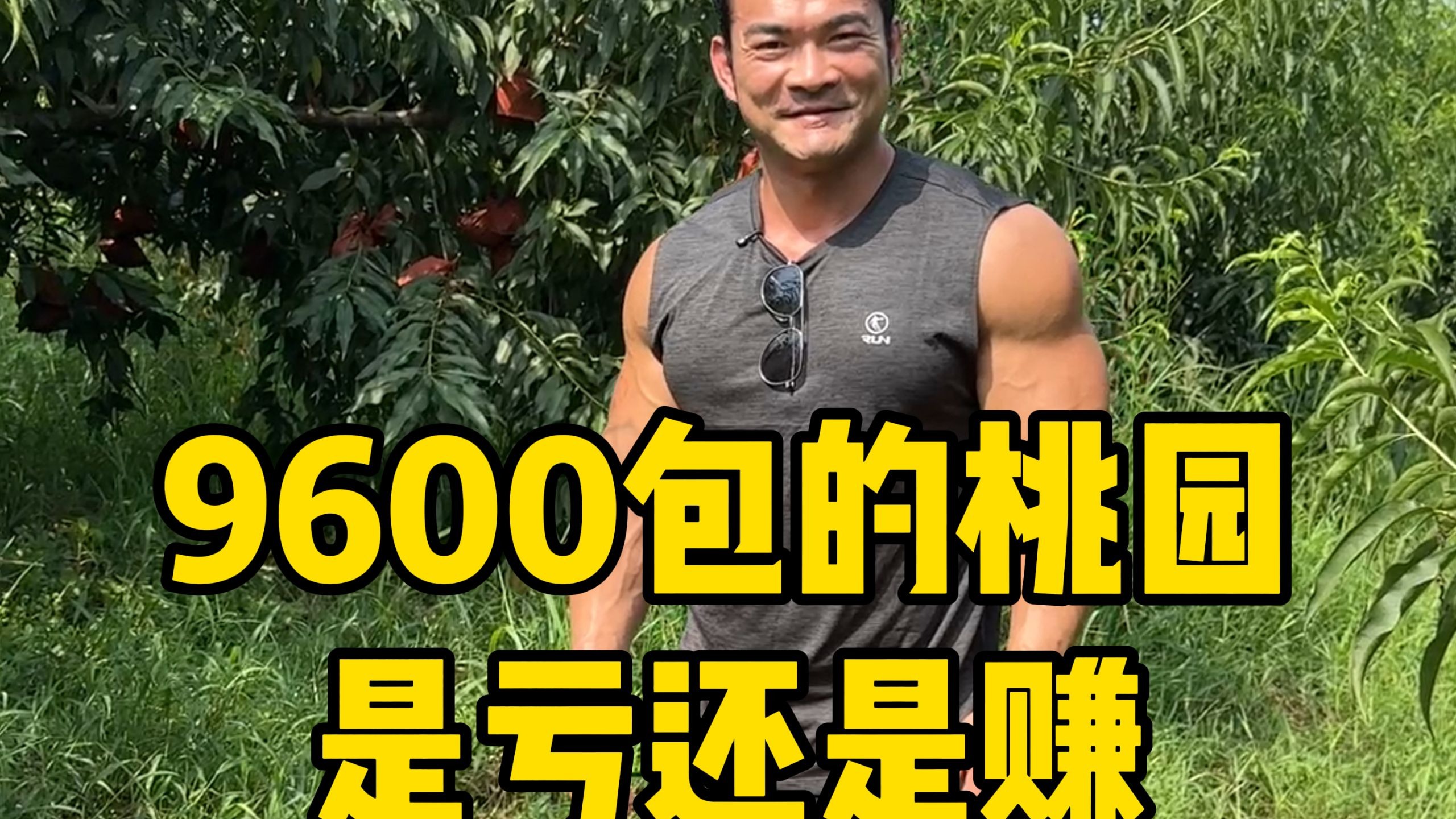 9600包的桃园，拉到市里去卖这把是赚还是亏呢？