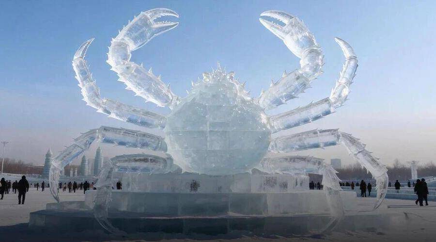 全国八成帝王蟹，竟来自这个东北内陆小城