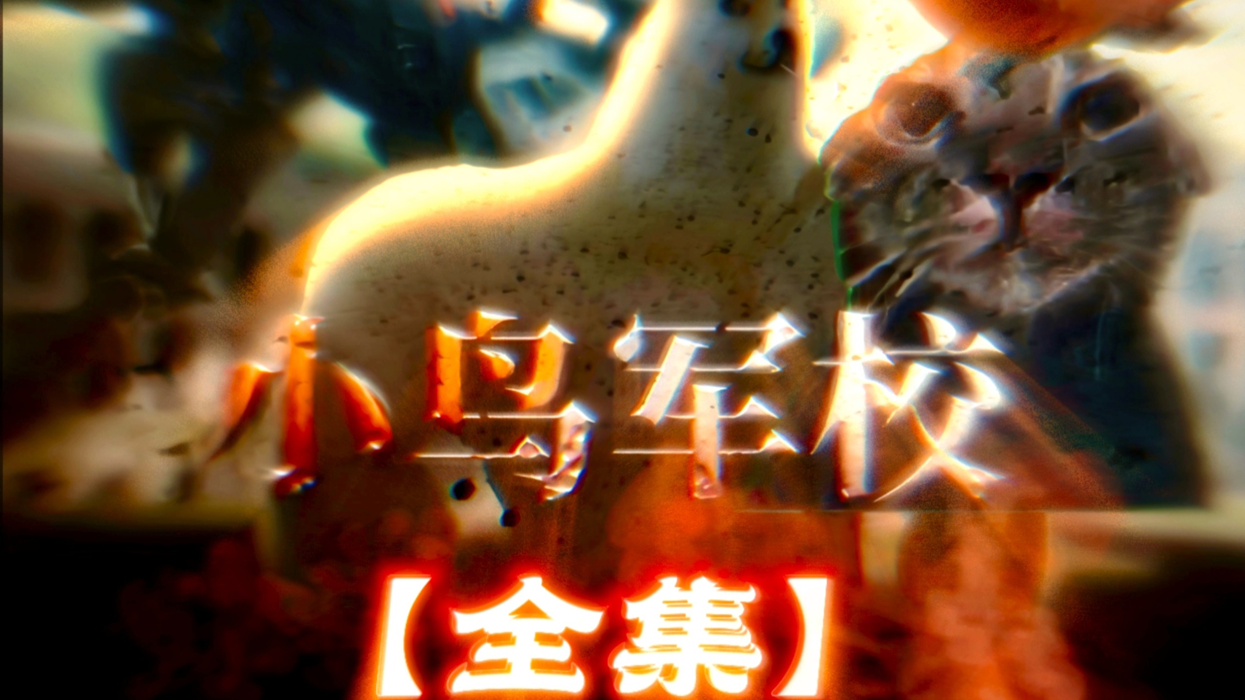 《小鸟军校》全集·精华——【微电影】重映!
