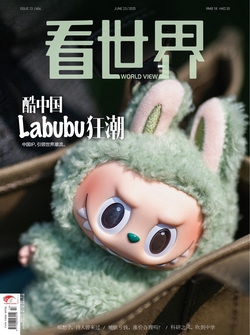 看世界（2025年第13期）