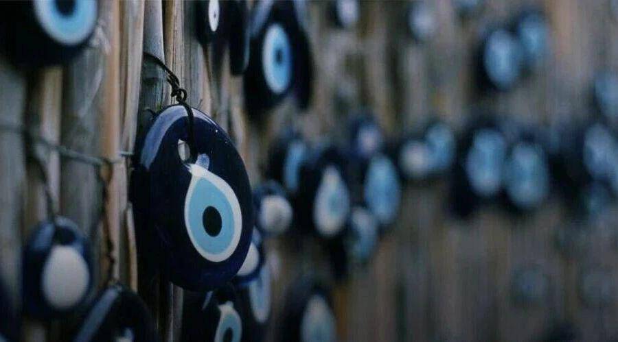 这种生物全身都是大脑和眼睛，正被端上人类餐桌