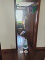 这题我一定要答！！试了个在家极简易坚持，减肥效果震惊我的组合，滑垫爬+模仿划船。难度不高
