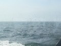浅谈打工人上班一年养成的5个工作习惯