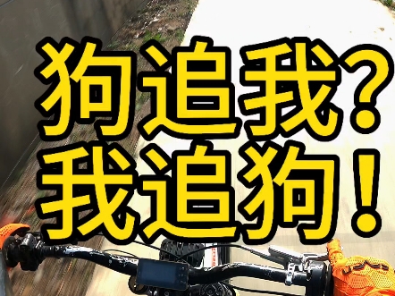 敢追我？那我就让你知道追我的后果！