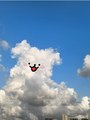 看到了线条小狗云朵☁️