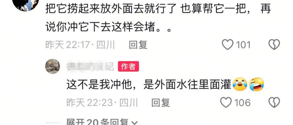 “别录了快拉我一把”，成都暴雨网友拍到青蛙被困厕所，拍摄者：后面应该逃走了