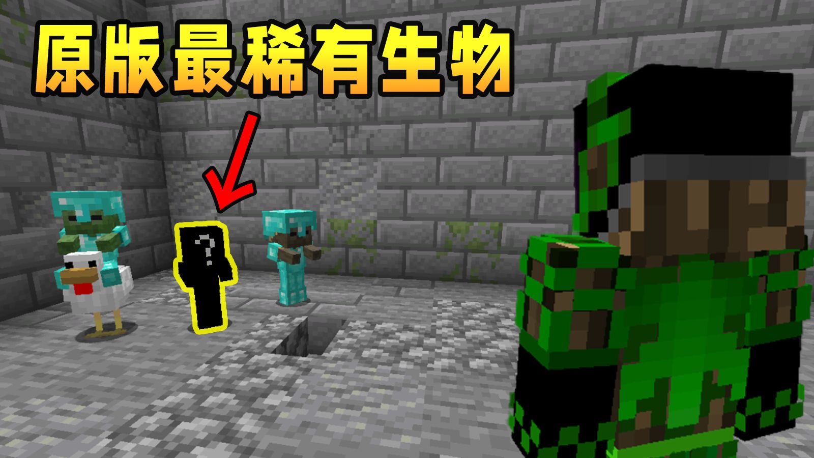 耗时2年 我收容了MC中最稀有的生物！
