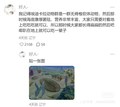 给现代人一些小小的古生物震撼（已更新至8）