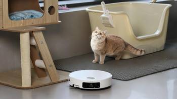 养宠家庭必备，扫拖全自动+高温自清洁——追觅 S50 Pro体验