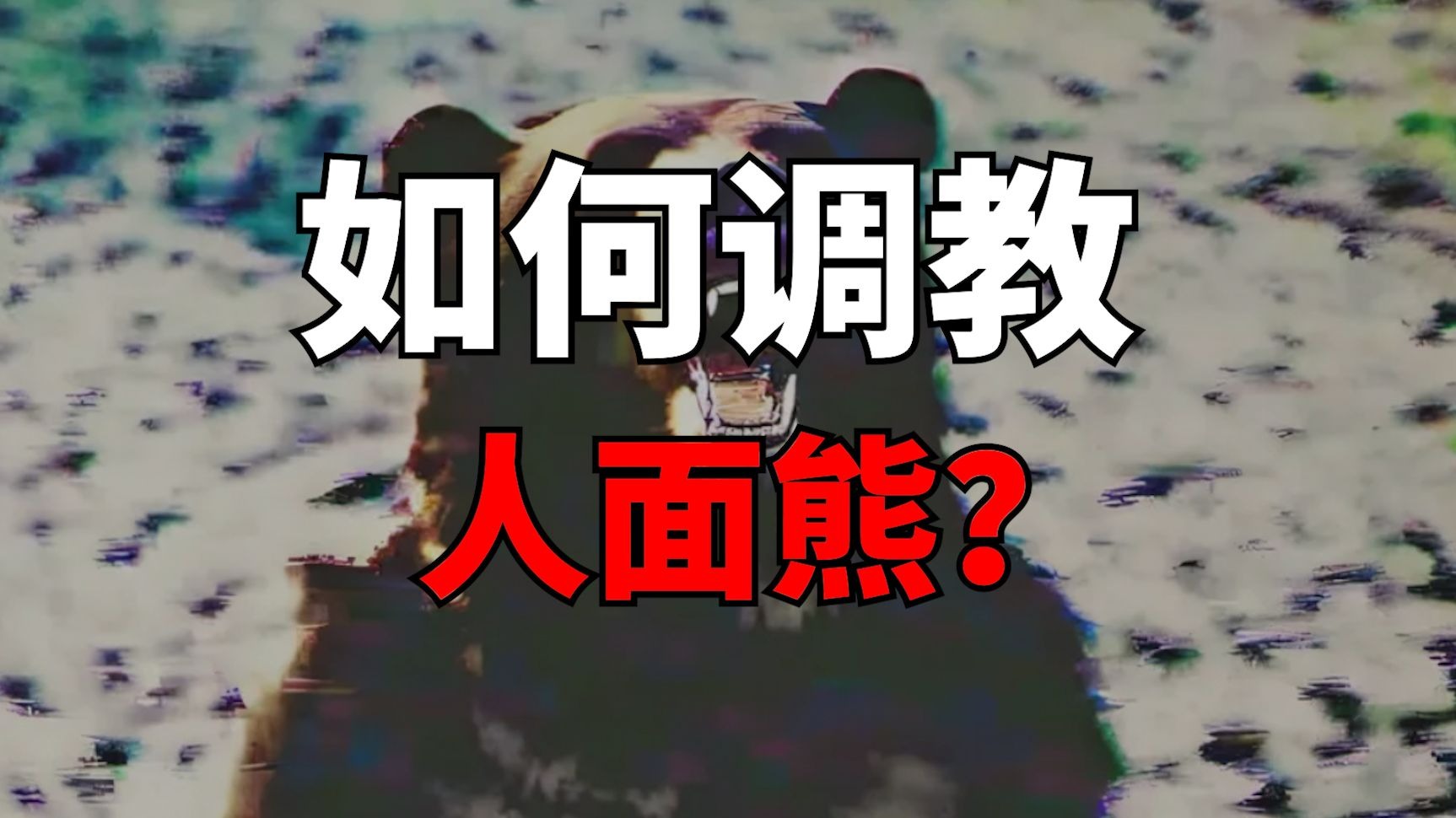 《关于人面熊宁死也不玩三国杀这件事》