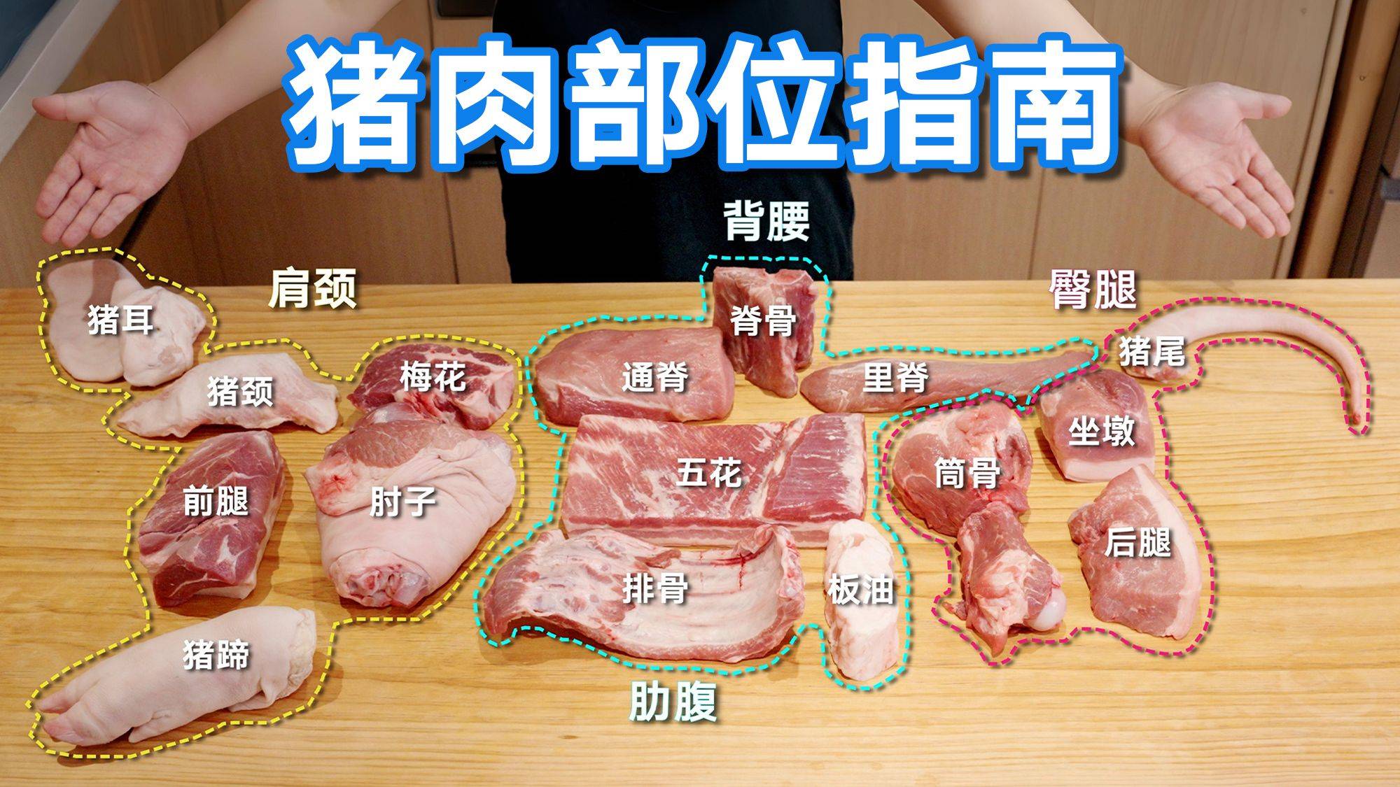 底层逻辑解构猪肉，理解各部位的区别和做法，不用死记硬背