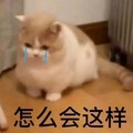 以后再也不让快递上门取件了