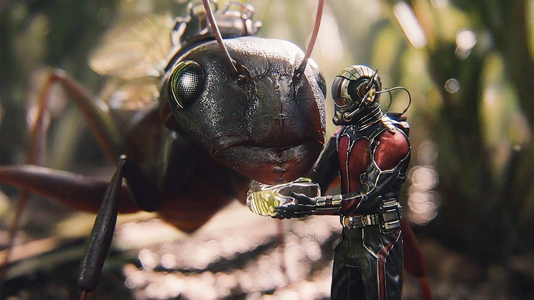 将身体缩小至蚂蚁大小，且力量不变，无敌了！