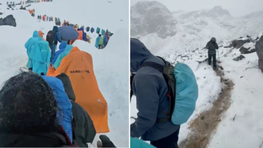 珠峰暴雪中，向导一人一狗带上百人撤离，有人转账5千元感谢，本人回应：从业十几年没见过这么大的雪