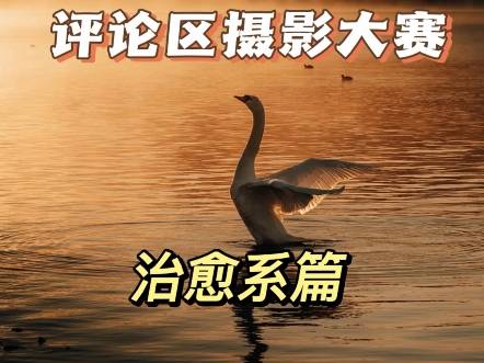 评论区摄影大赛之提升审美篇开启，评论区照片都会看，本期没有烂片提升审美，欢迎投稿好的作品会让更多人看到。